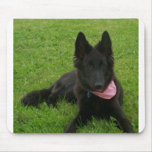 Tapis De Souris Belgian_Shepherd_Groenendael_puppy