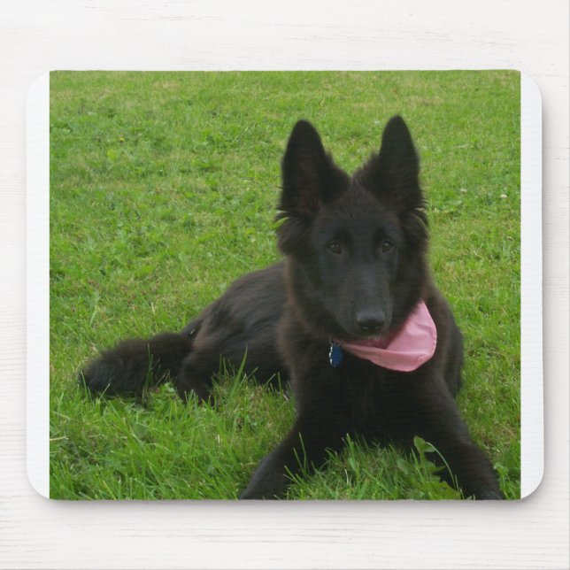 Tapis De Souris Belgian_Shepherd_Groenendael_puppy (Devant)