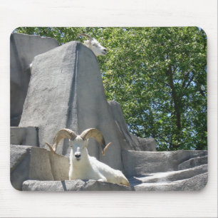 Tapis De Souris béliers