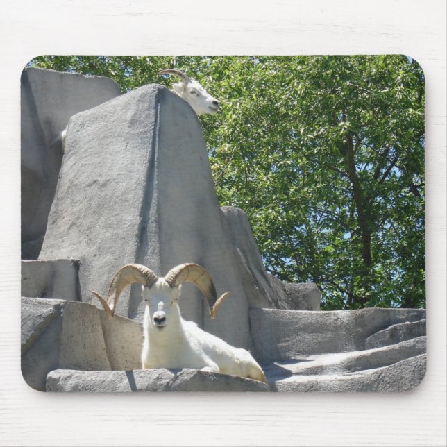 Tapis De Souris béliers (Devant)