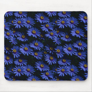 Tapis De Souris Belle Asters bleus