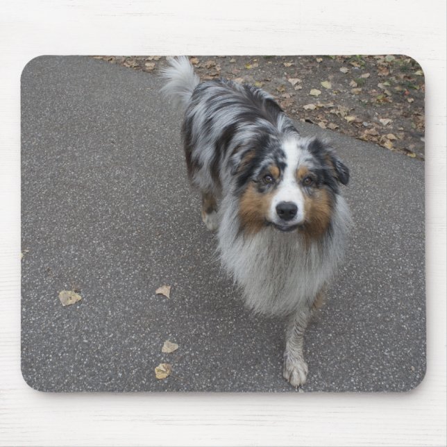 Tapis De Souris Belle Aussie multicolore (Devant)