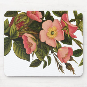 Tapis De Souris Belle Botanique rose Rose vintage