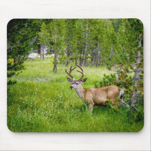 Tapis De Souris Belle Buck dans la prairie Mousepad