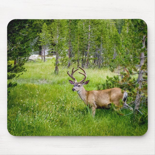 Tapis De Souris Belle Buck dans la prairie Mousepad (Devant)