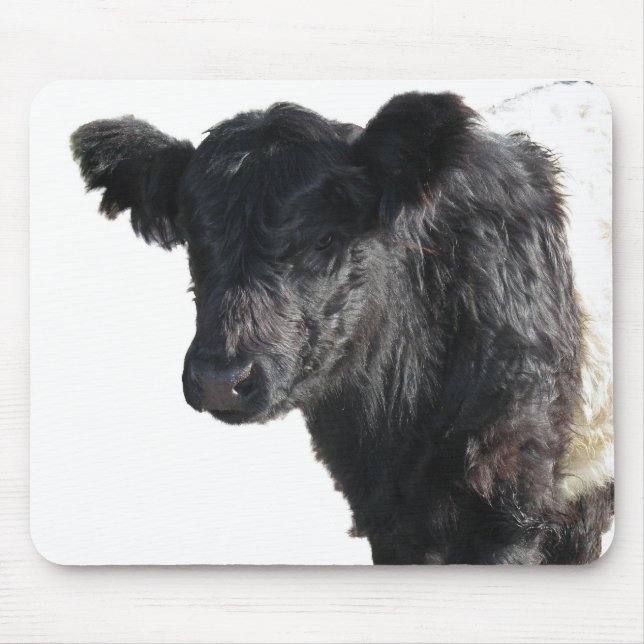 Tapis De Souris Belle ceinture de galloway Steer (Devant)
