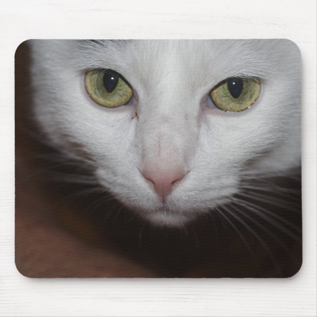 Tapis De Souris Belle Chat Blanc (Devant)