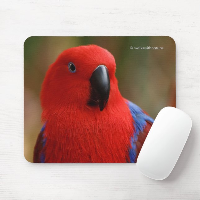 Tapis De Souris Belle "Dame en rouge" Eclectus Parrot (Avec souris)