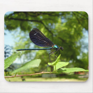 Tapis De Souris Belle Demoiselle Mouse Mat