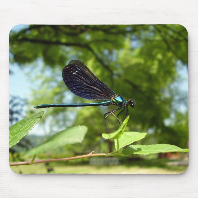Tapis De Souris Belle Demoiselle Mouse Mat (Devant)