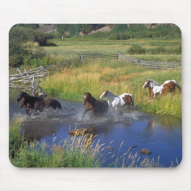 Tapis De Souris Belle Horse Ranch Destiny Nature (Devant)