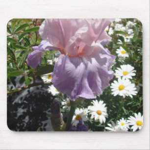 Tapis De Souris Belle Iris Fleur violet Fleur Photo