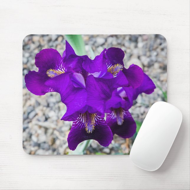 Tapis De Souris Belle iris violet (Avec souris)