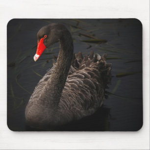 Tapis De Souris Belle nage de cygne noir sur une rivière