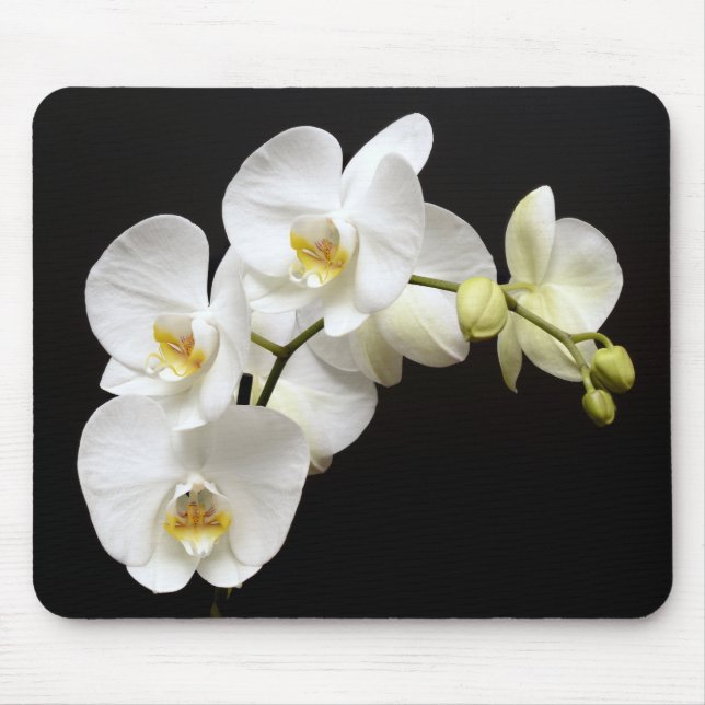 Tapis De Souris Belle Orchidée blanche avec Arrière - plan noir (Devant)