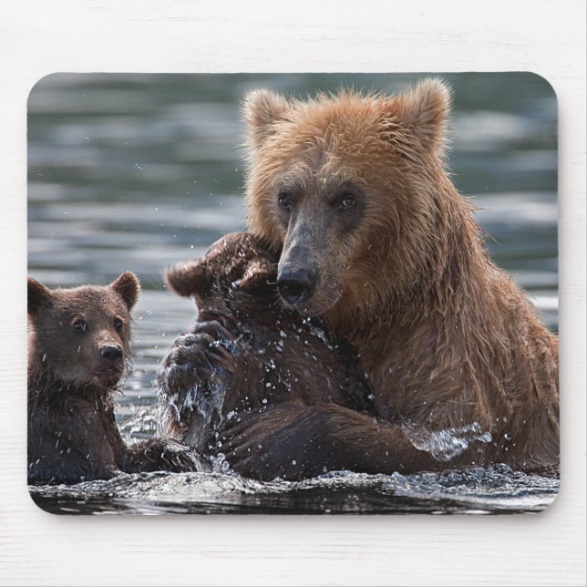Tapis De Souris Belle Ours et ses petits (Devant)