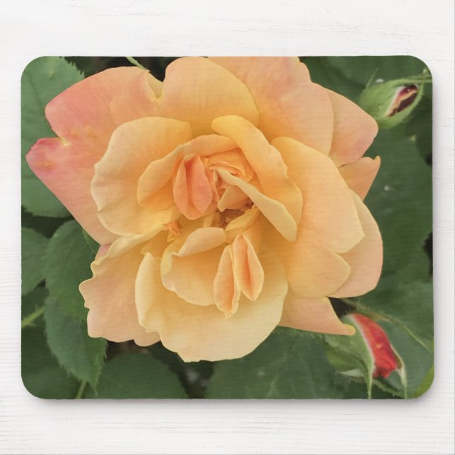 Tapis De Souris Belle Peach Coloured Rose Pad (Devant)