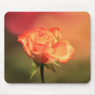 Tapis De Souris Belle photo de Rose romantique