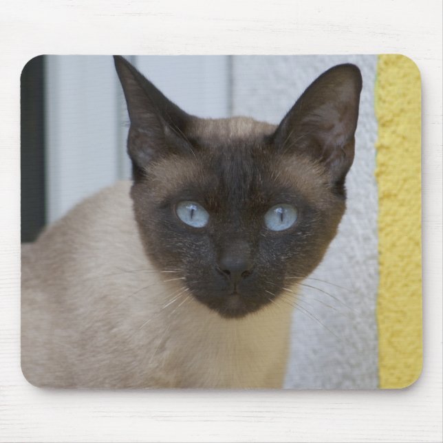 Tapis De Souris Belle pointe de phoque Chat siamois (Devant)