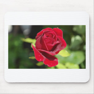 Tapis De Souris Belle Rose rouge profonde