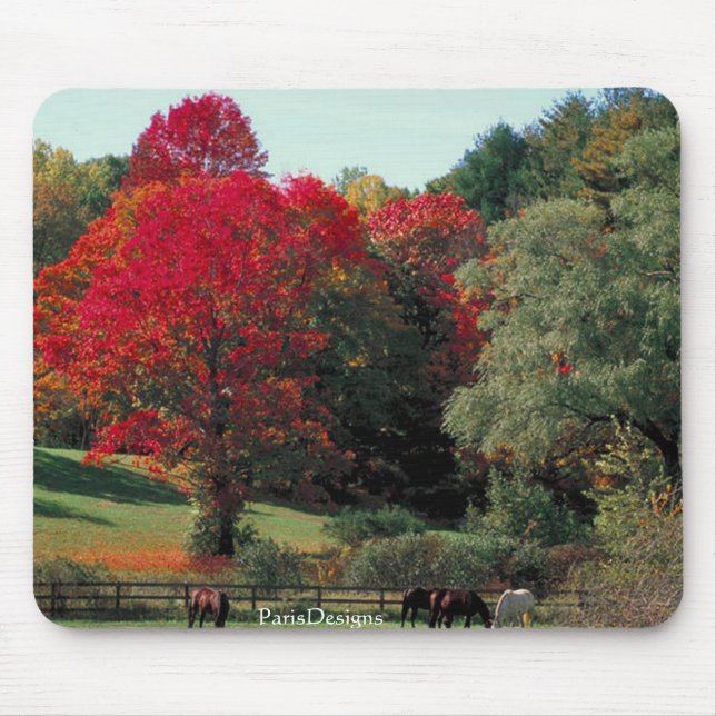 Tapis De Souris Belle scène d'automne (Devant)