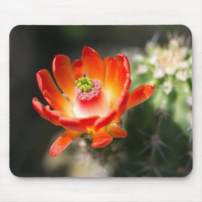 Tapis De Souris Belle souris à fleurs (Devant)