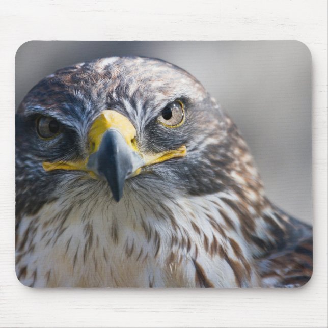 Tapis De Souris Belle Souris Aigle (Devant)