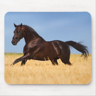 Tapis De Souris Belle souris de cheval