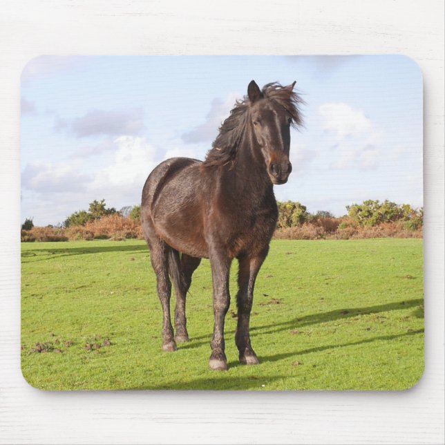 Tapis De Souris Belle souris de cheval (Devant)