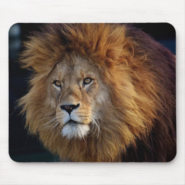 Tapis De Souris Belle souris Lion (Devant)