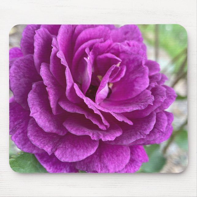 Tapis De Souris Belle Souris Rose Lilac (Devant)