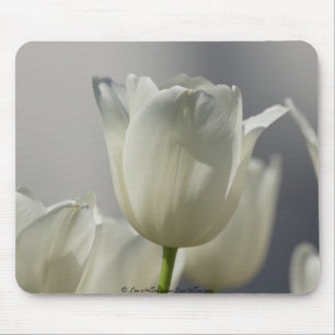 Tapis De Souris Belle Tulipe de printemps blanche