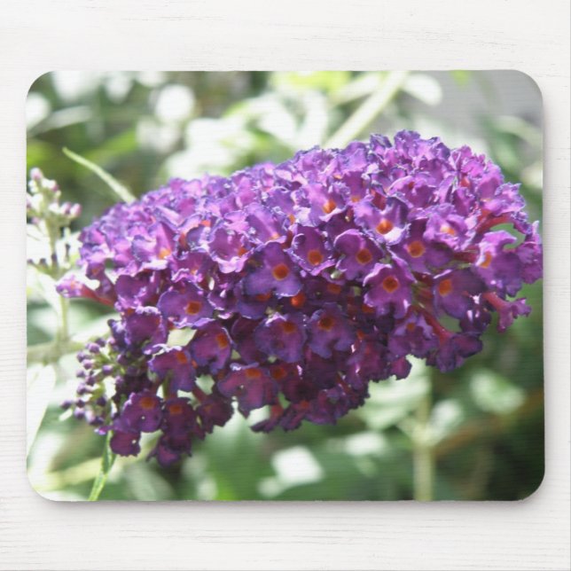 Tapis De Souris Belles fleurs de bouddleia violet Mousepad (Devant)