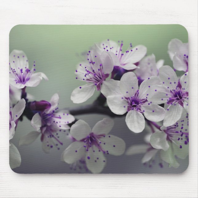 Tapis De Souris Belles fleurs de cerisier (Devant)