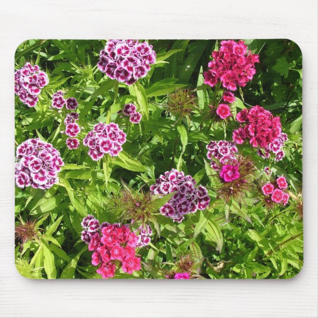 Tapis De Souris belles fleurs de couleur, oeillet (Devant)