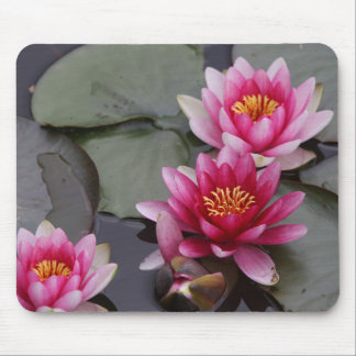 Tapis De Souris Belles fleurs de lac sur la protection de mause