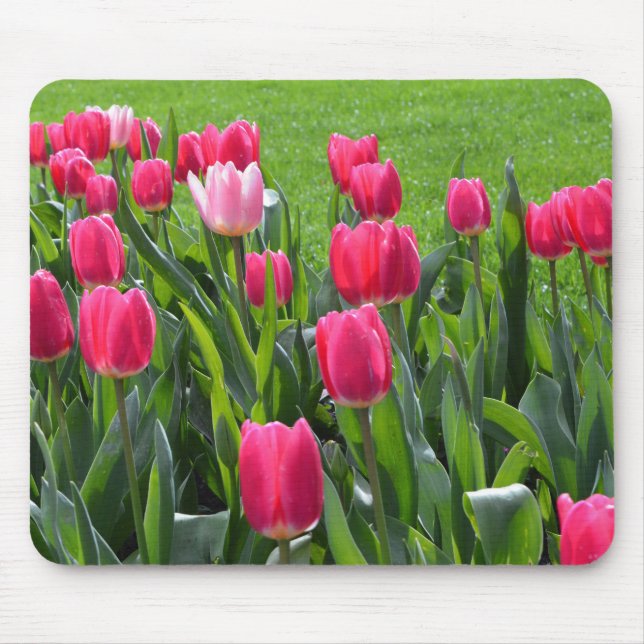 Tapis De Souris Belles fleurs de tulipe rose printemps, feuilles v (Devant)