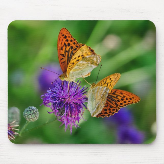Tapis De Souris Belles papillons (Devant)