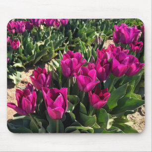 Tapis De Souris Belles tulipes