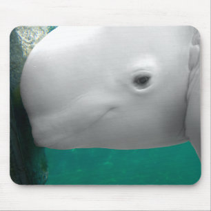 Tapis De Souris Beluga observant Mousepad