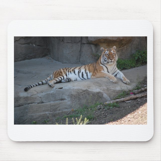 Tapis De Souris Bengal Tiger (Devant)
