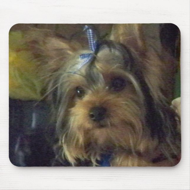 TAPIS DE SOURIS BENSON (Devant)