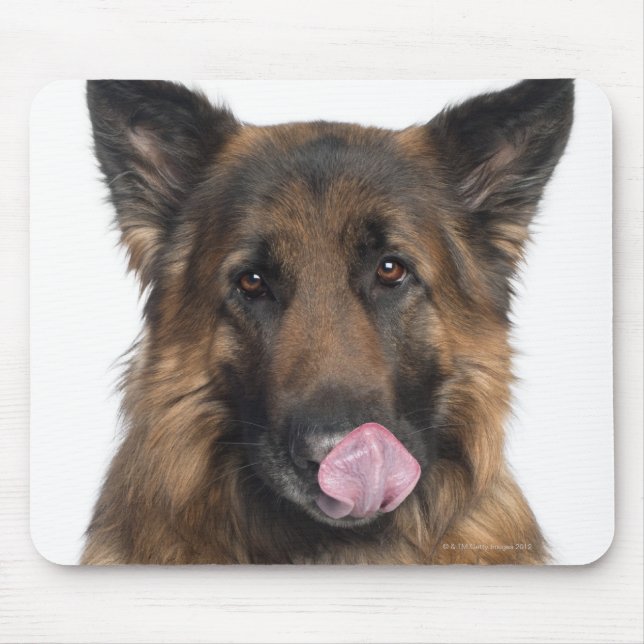 Tapis De Souris Berger allemand (Devant)