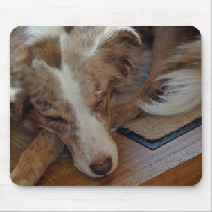 Tapis De Souris berger australien rouge merle dormir