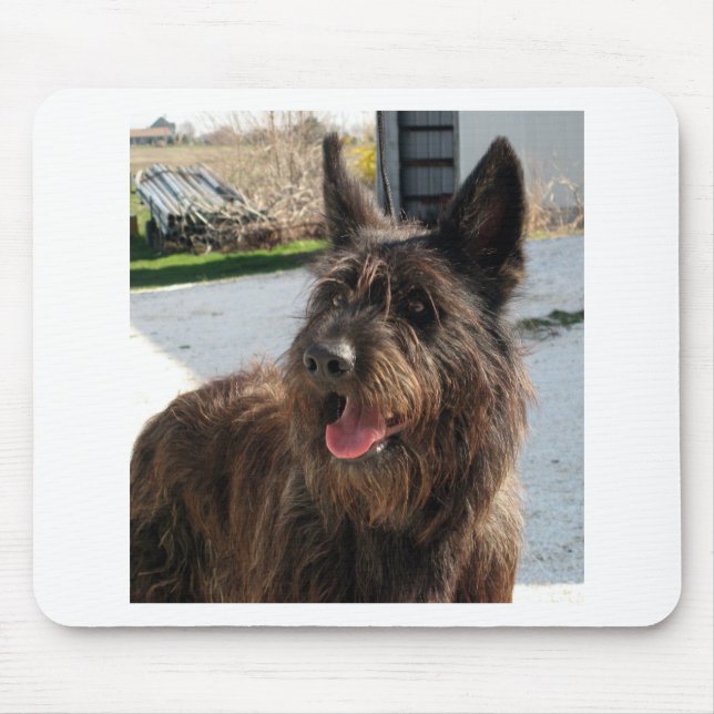 Tapis De Souris berger picard (Devant)