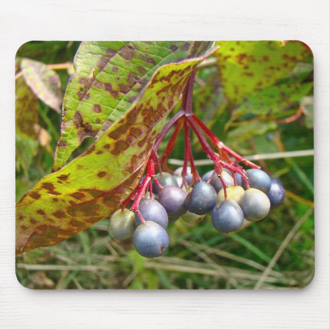 Tapis De Souris Berries d'automne (Devant)