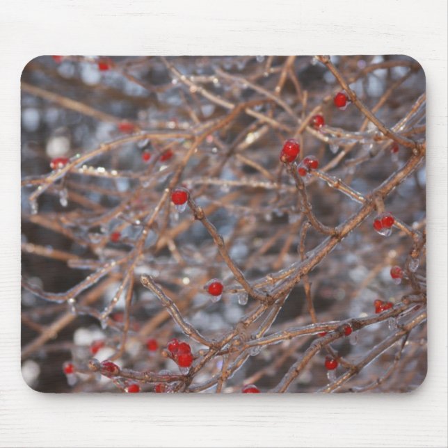 Tapis De Souris Berry (Devant)