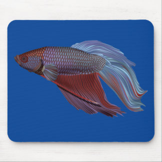 Tapis De Souris Betta fish