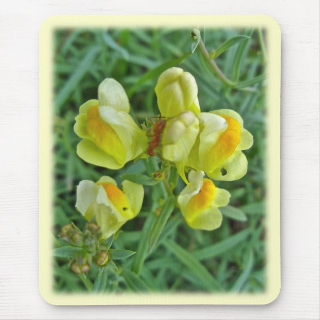 Tapis De Souris Beurre 'n OEufs Fleur sauvage de coordination élém (Devant)