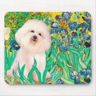 Tapis De Souris Bichon Frise 4 - Irises